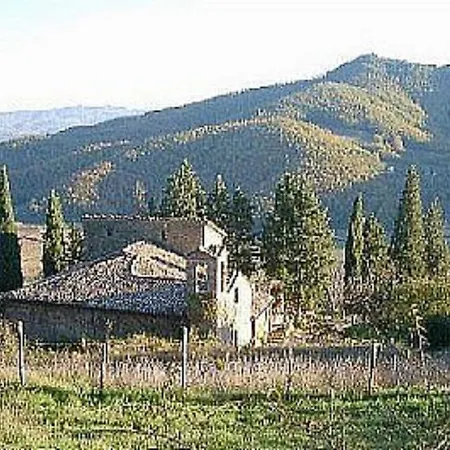 Villa Rose
