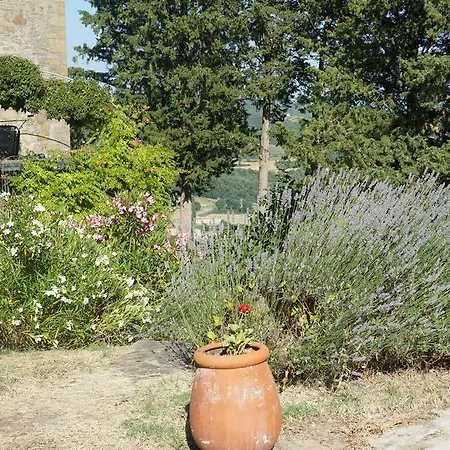 Villa Rose *