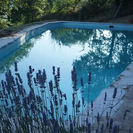 Villa Rose *